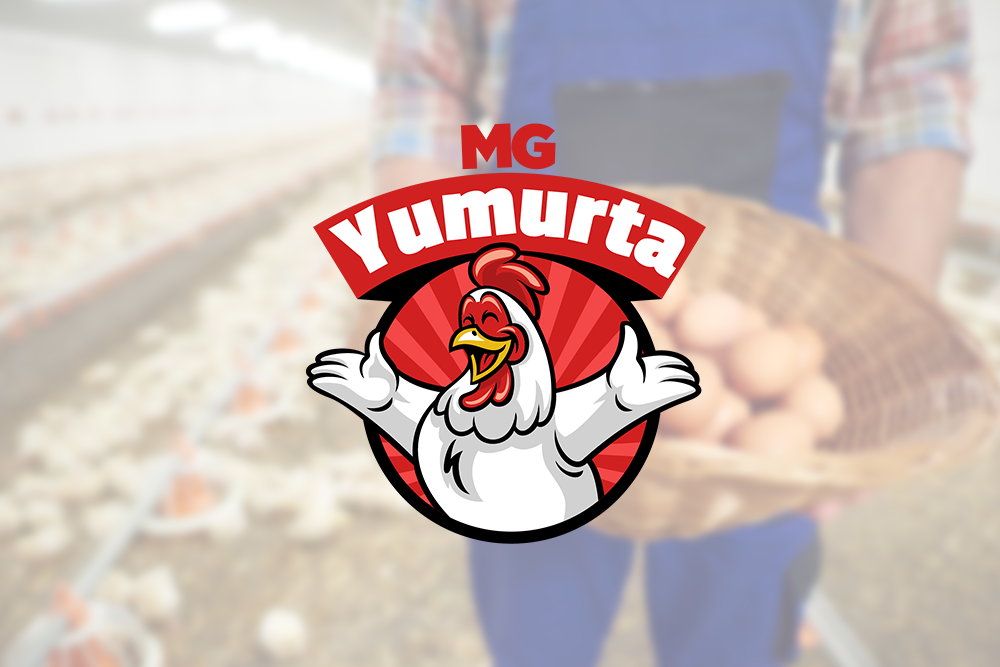 MG YUMURTA